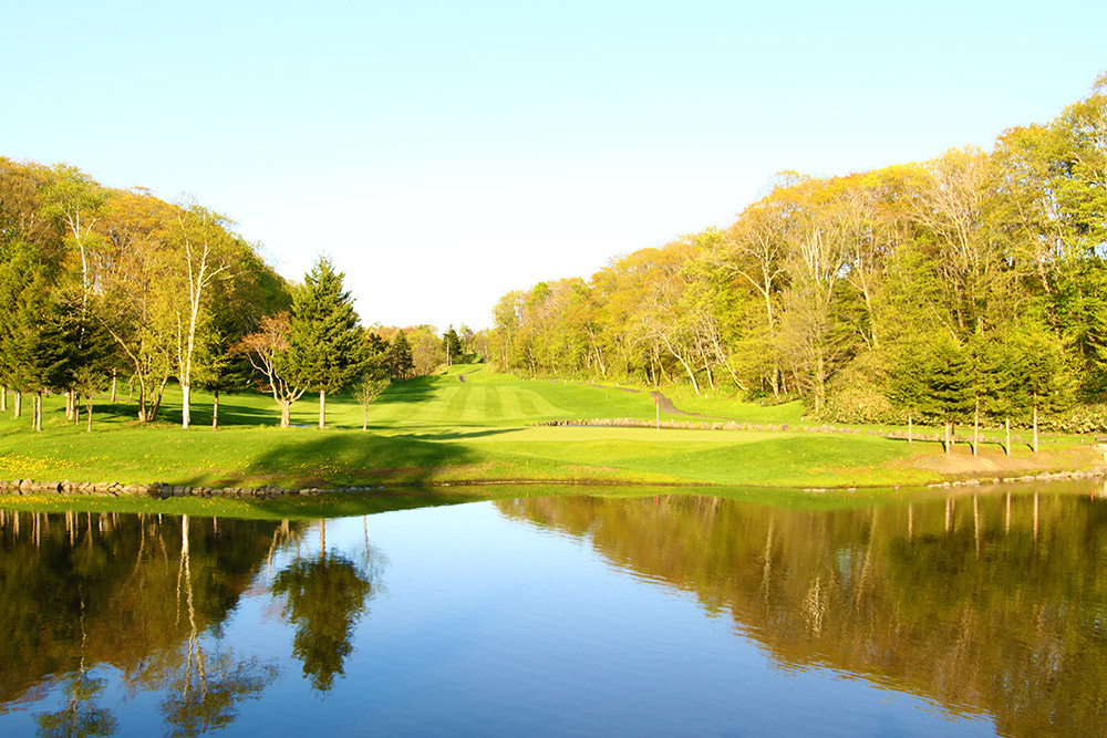 /upload/vvipgolf/image/goods/main/30000029/vvipgolf_cm9900_30001270.jpg