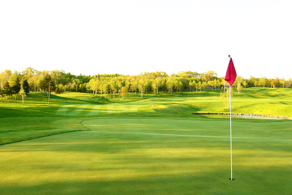 /upload/vvipgolf/image/goods/main/30000029/vvipgolf_cm9900_30001271.jpg