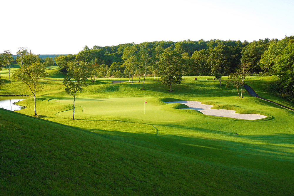 /upload/vvipgolf/image/goods/main/30000029/vvipgolf_cm9900_30001272.jpg