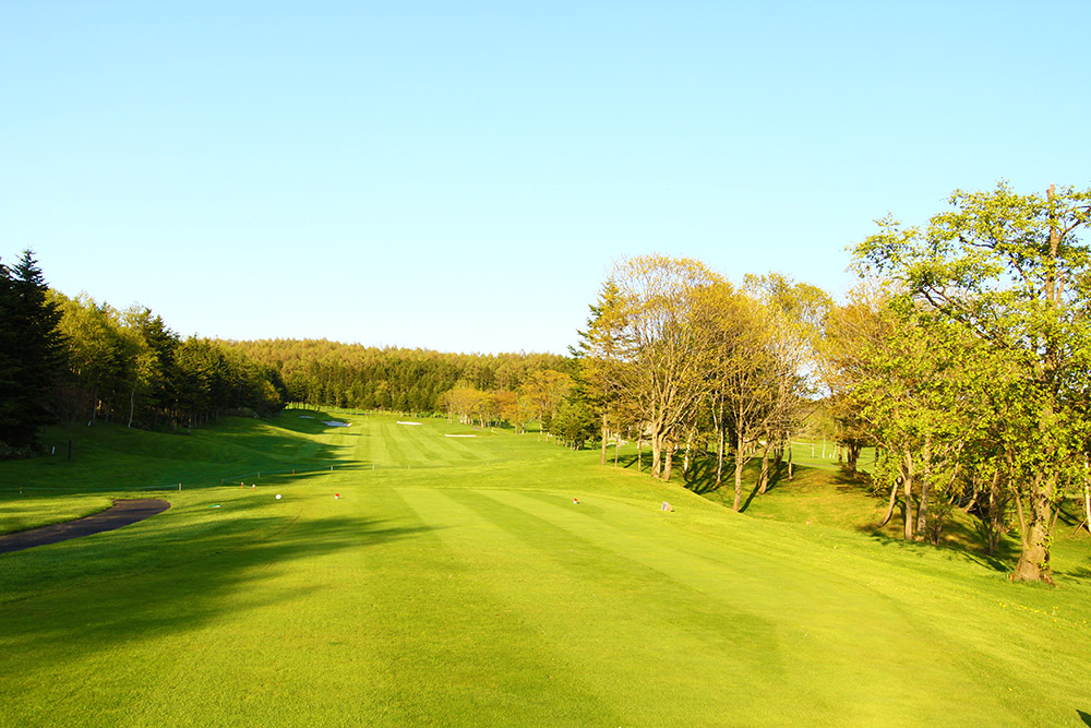 /upload/vvipgolf/image/goods/main/30000029/vvipgolf_cm9900_30001273.jpg