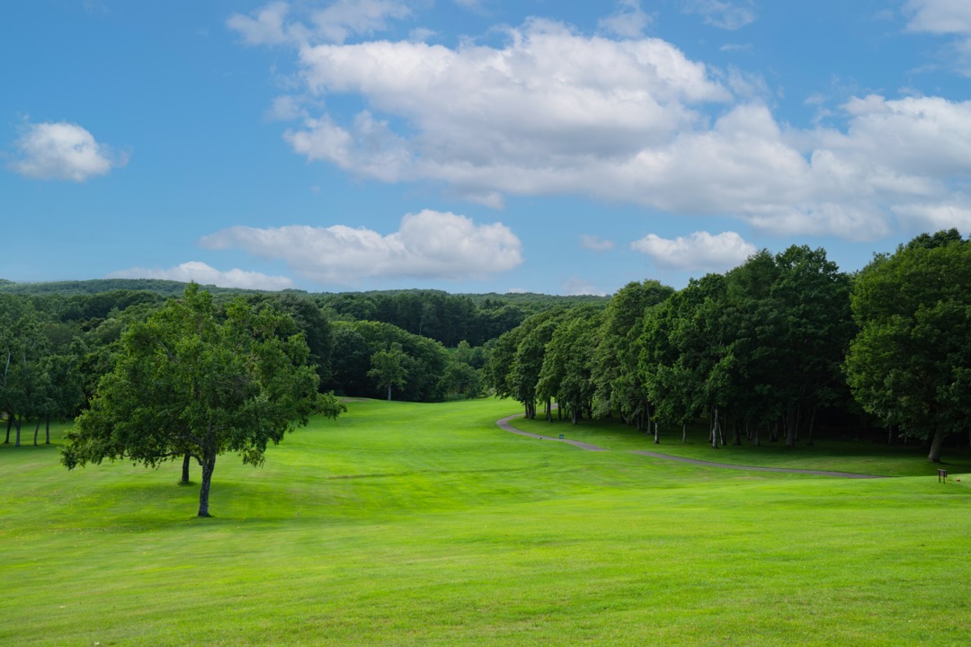 /upload/vvipgolf/image/goods/main/30000033/vvipgolf_cm9900_30000315.jpg