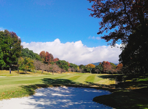 /upload/vvipgolf/image/goods/main/30000056/vvipgolf_cm9900_30001303.png