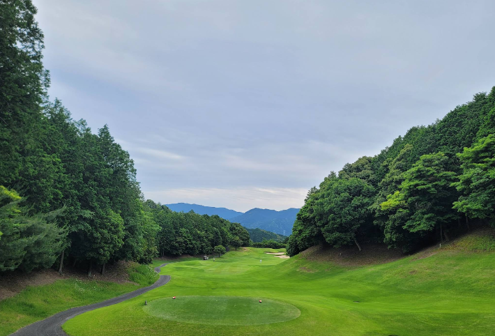 /upload/vvipgolf/image/goods/main/30000056/vvipgolf_cm9900_30001304.png