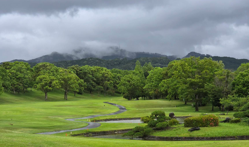 /upload/vvipgolf/image/goods/main/30000056/vvipgolf_cm9900_30001305.png