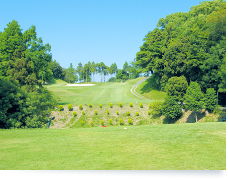 /upload/vvipgolf/image/goods/main/30000067/vvipgolf_cm9900_30001266.jpg