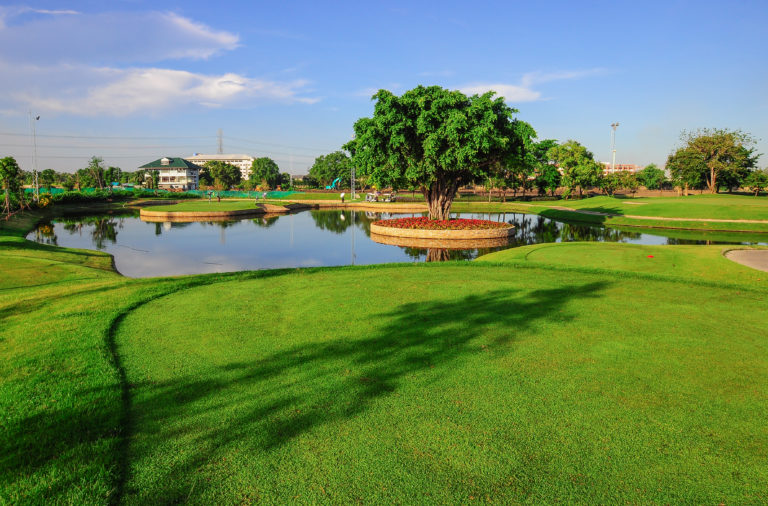 /upload/vvipgolf/image/goods/main/30000068/vvipgolf_cm9900_30000351.jpg