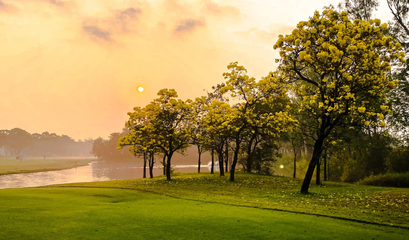 /upload/vvipgolf/image/goods/main/30000068/vvipgolf_cm9900_30000354.png