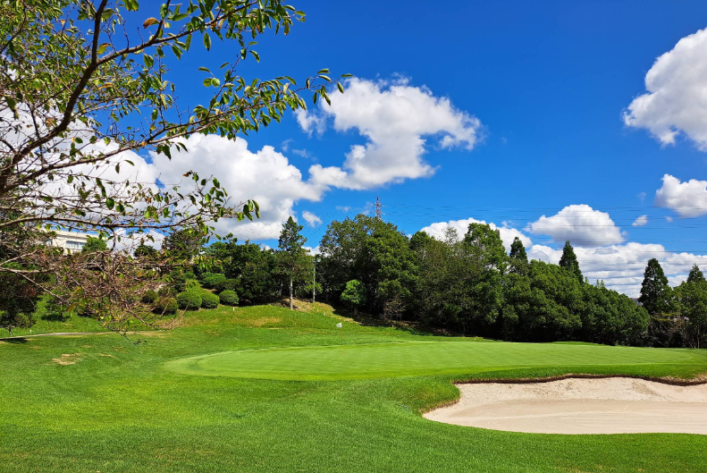 /upload/vvipgolf/image/goods/main/30000073/vvipgolf_cm9900_30001263.png