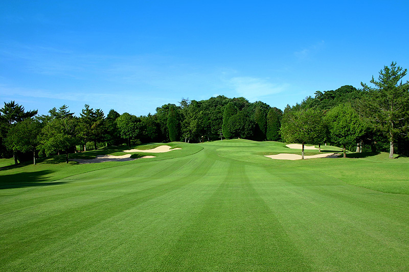 /upload/vvipgolf/image/goods/main/30000073/vvipgolf_cm9900_30001264.jpg
