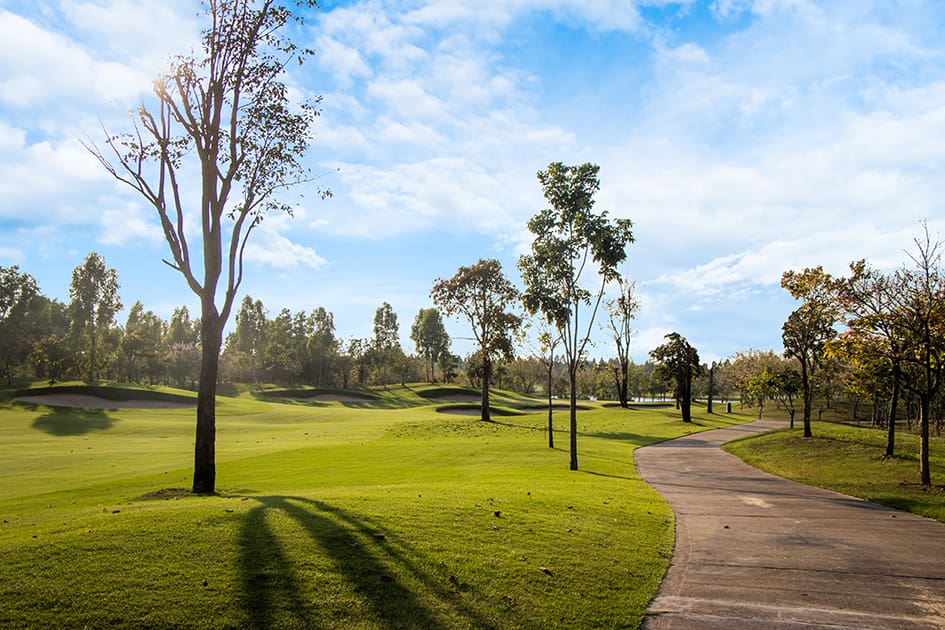 /upload/vvipgolf/image/goods/main/30000074/vvipgolf_cm9900_30000765.jpg