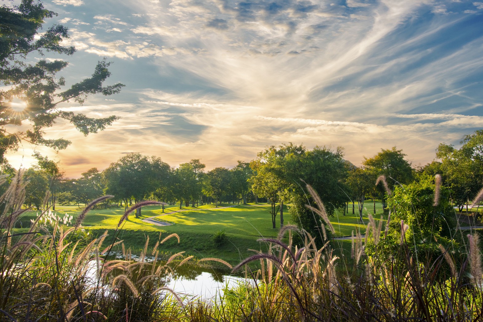 /upload/vvipgolf/image/goods/main/30000079/vvipgolf_cm9900_30000747.jpg