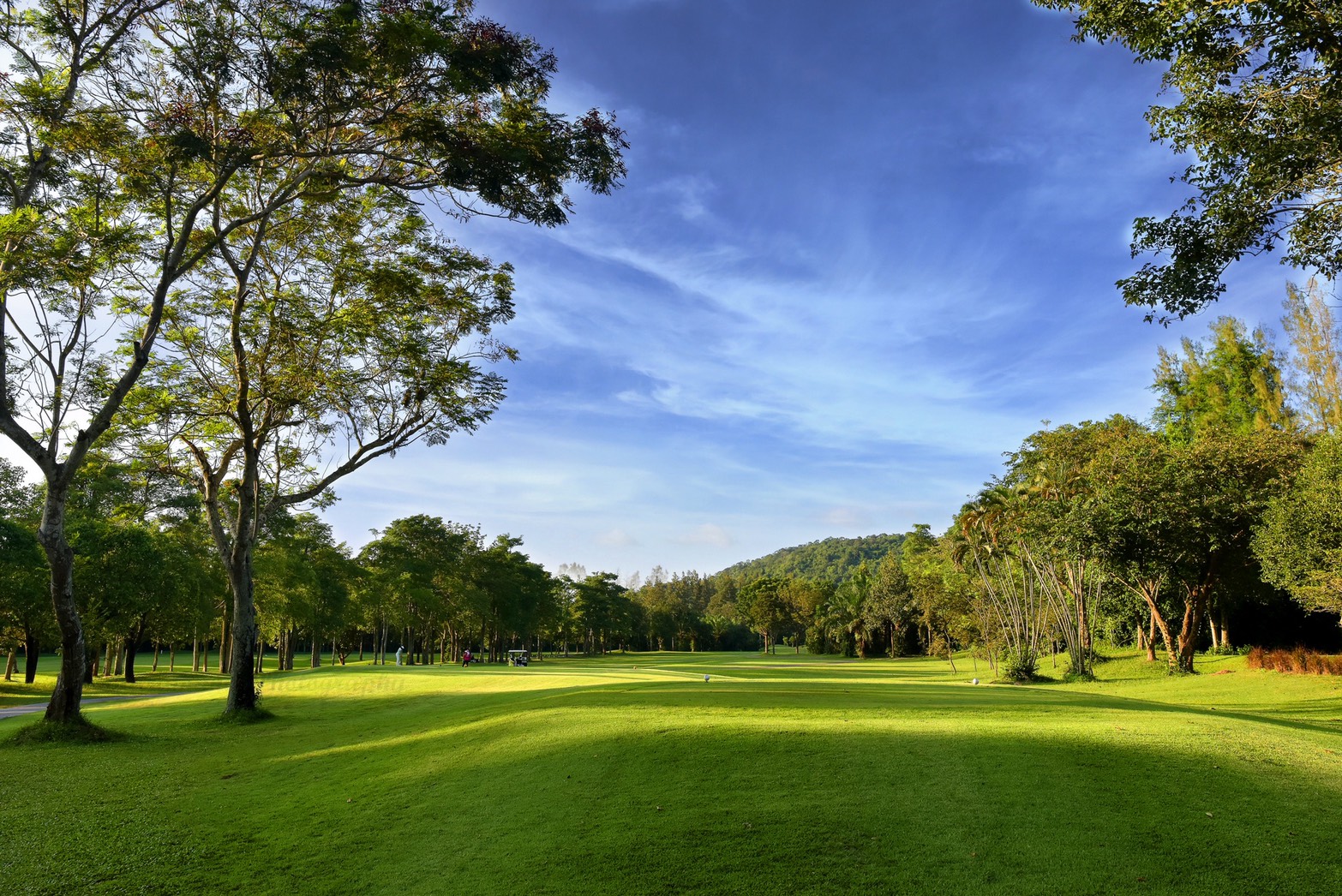 /upload/vvipgolf/image/goods/main/30000079/vvipgolf_cm9900_30000748.jpg