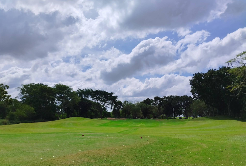 /upload/vvipgolf/image/goods/main/30000079/vvipgolf_cm9900_30000749.png