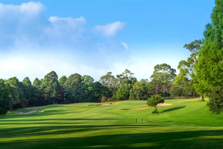 /upload/vvipgolf/image/goods/main/30000103/vvipgolf_cm9900_30001223.jpg