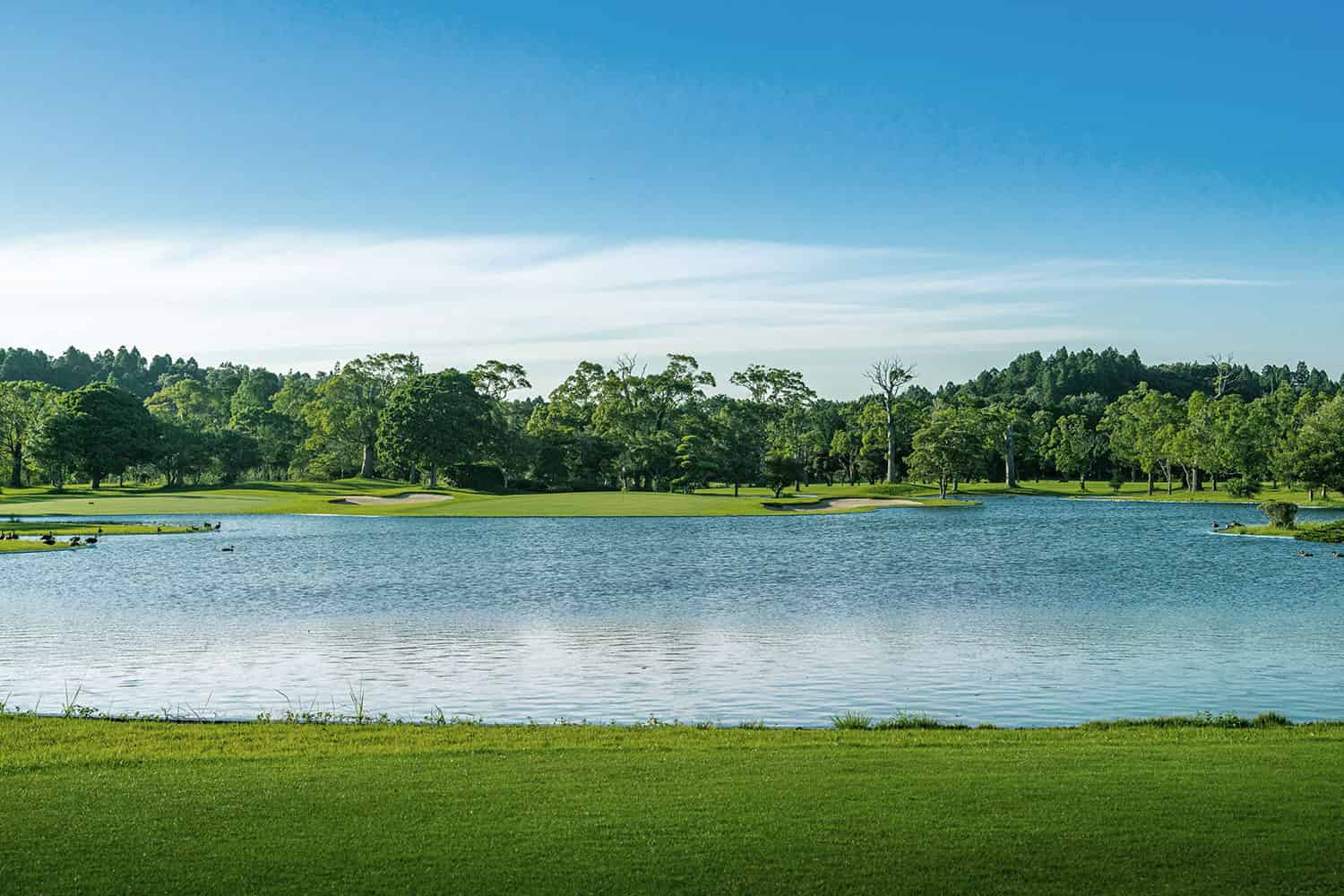 /upload/vvipgolf/image/goods/main/30000103/vvipgolf_cm9900_30001224.jpg