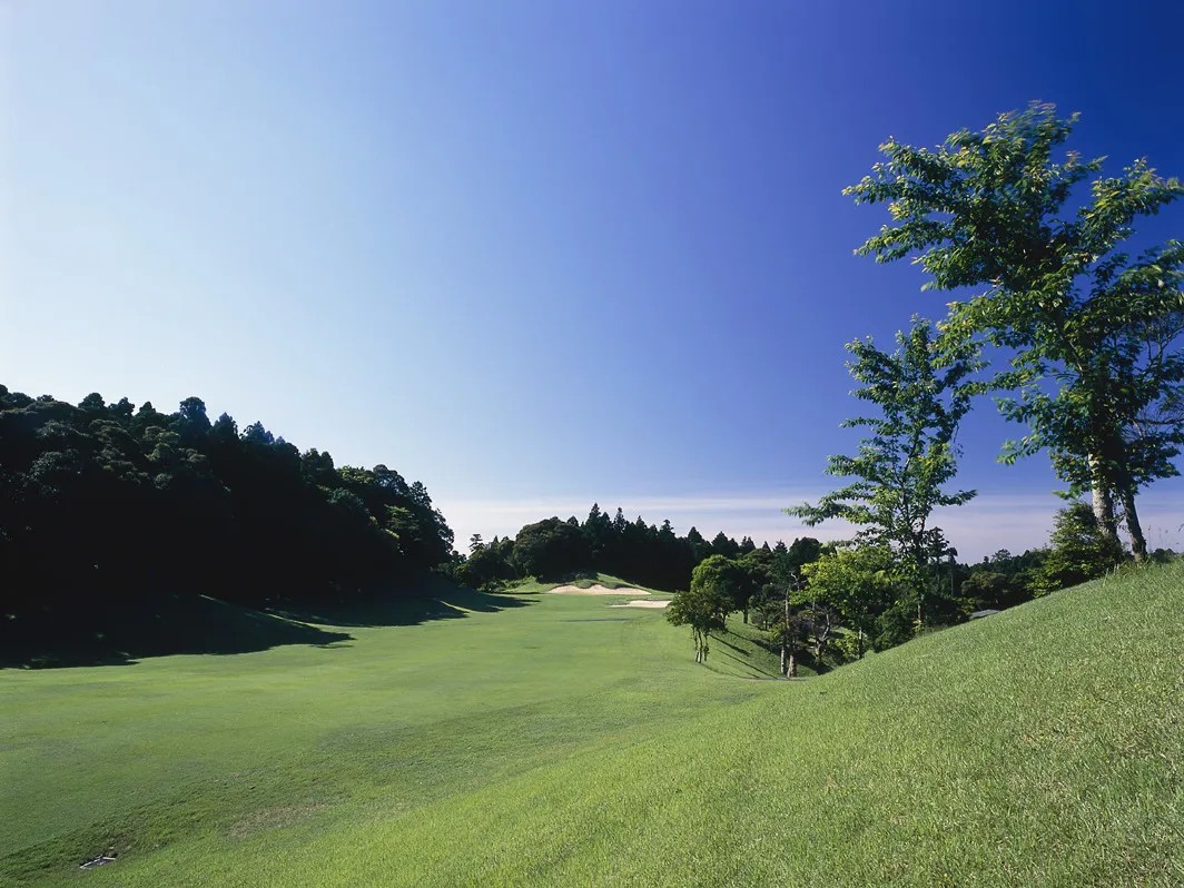 /upload/vvipgolf/image/goods/main/30000104/vvipgolf_cm9900_30001216.jpg