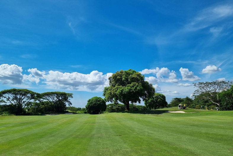/upload/vvipgolf/image/goods/main/30000110/vvipgolf_cm9900_30000796.png
