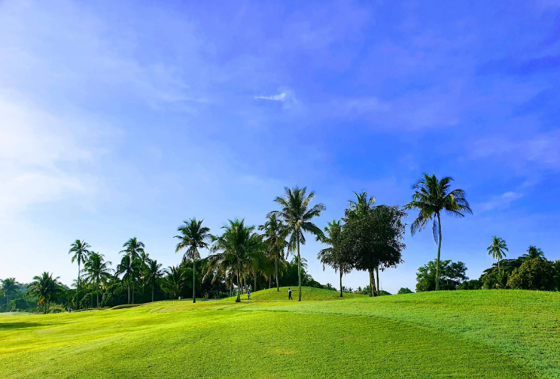 /upload/vvipgolf/image/goods/main/30000110/vvipgolf_cm9900_30000797.png