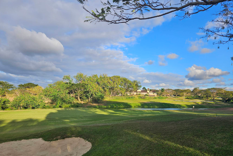 /upload/vvipgolf/image/goods/main/30000110/vvipgolf_cm9900_30000798.png