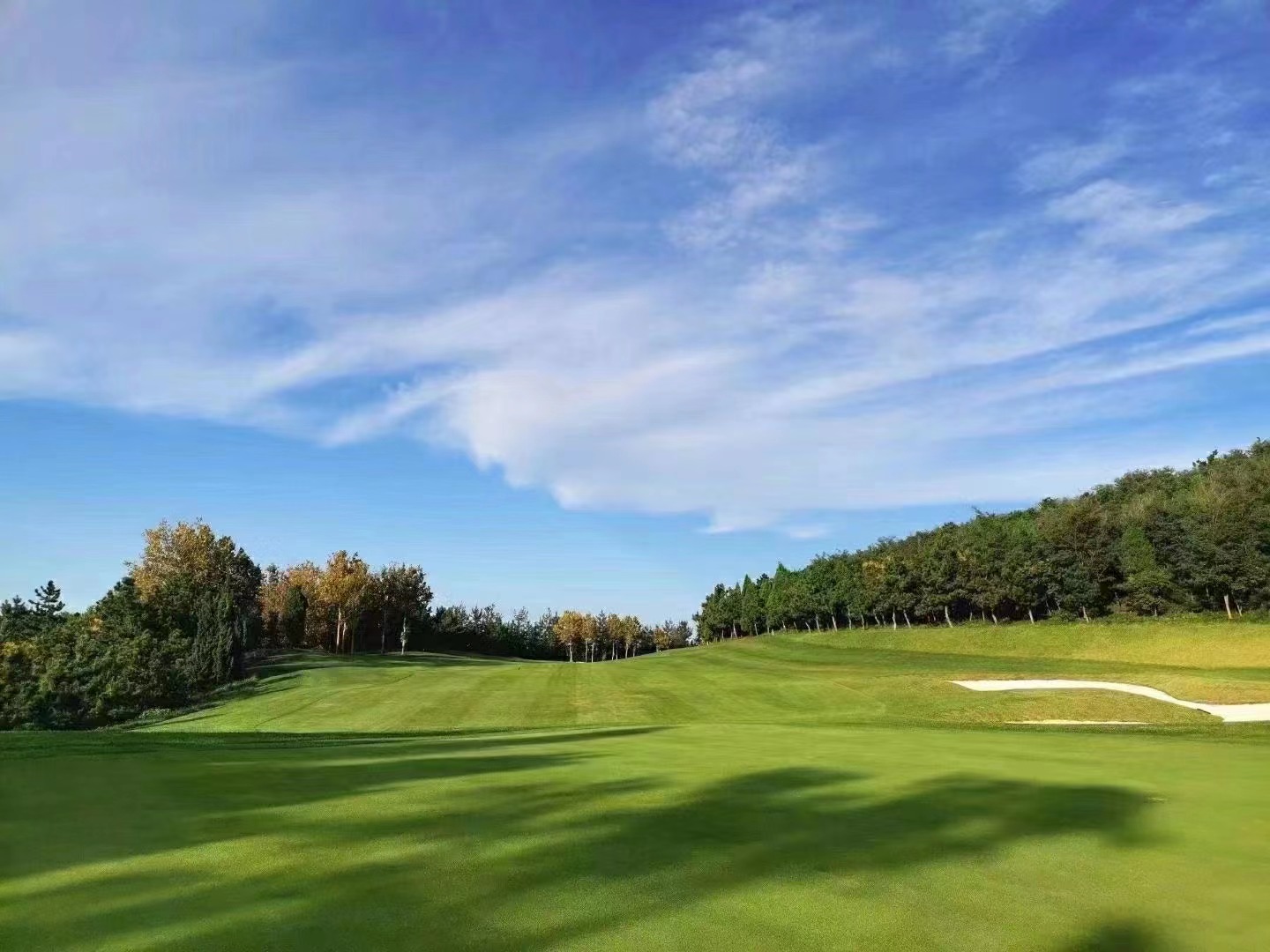 /upload/vvipgolf/image/goods/main/30000114/vvipgolf_cm9900_30001057.jpg