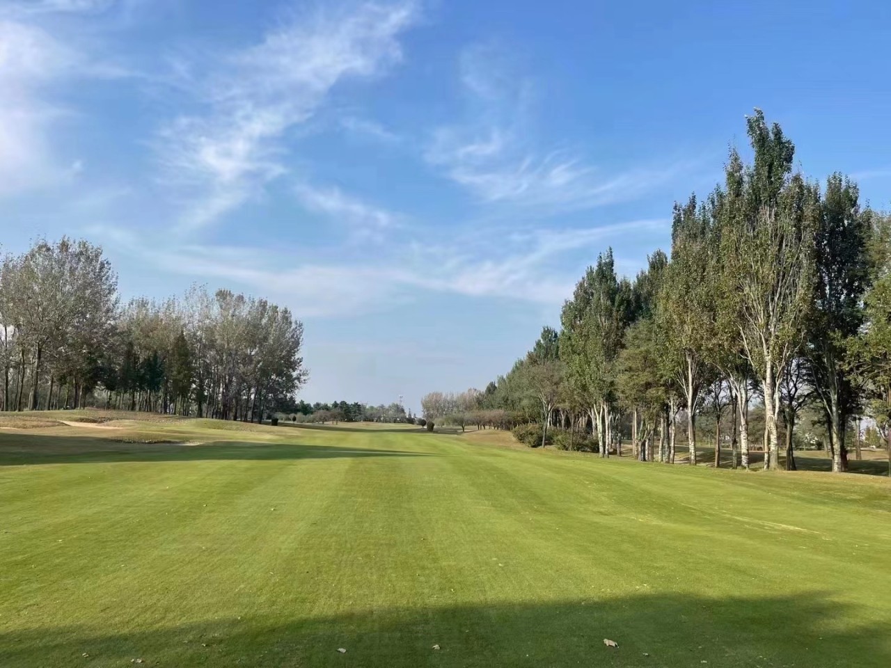 /upload/vvipgolf/image/goods/main/30000117/vvipgolf_cm9900_30001043.jpg