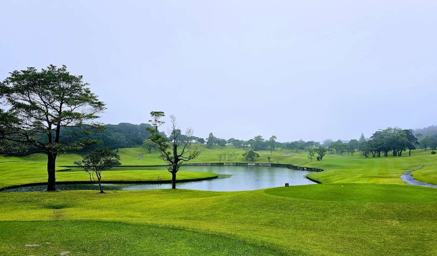 /upload/vvipgolf/image/goods/main/30000123/vvipgolf_cm9900_30001248.png
