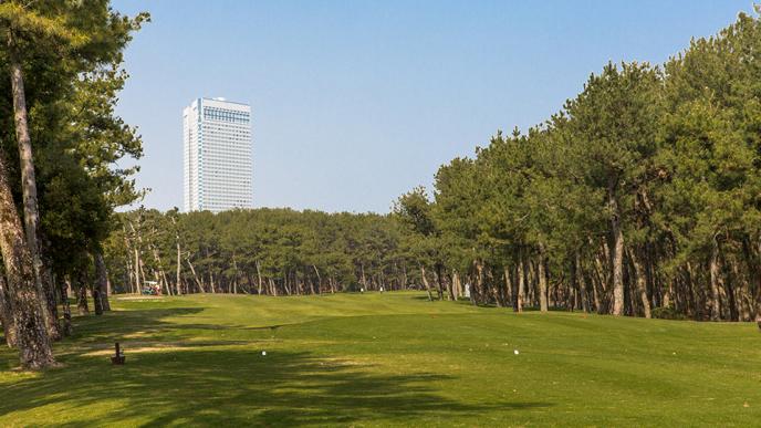 /upload/vvipgolf/image/goods/main/30000135/vvipgolf_cm9900_30000080.jpeg