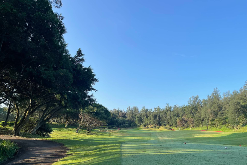 /upload/vvipgolf/image/goods/main/30000140/vvipgolf_cm9900_30000833.png