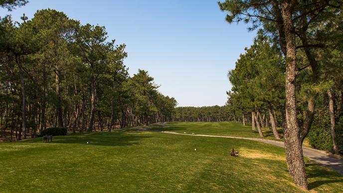 /upload/vvipgolf/image/goods/main/30000141/vvipgolf_cm9900_30000076.jpeg