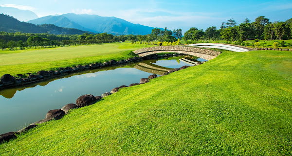 /upload/vvipgolf/image/goods/main/30000142/vvipgolf_cm9900_30000824.jpg
