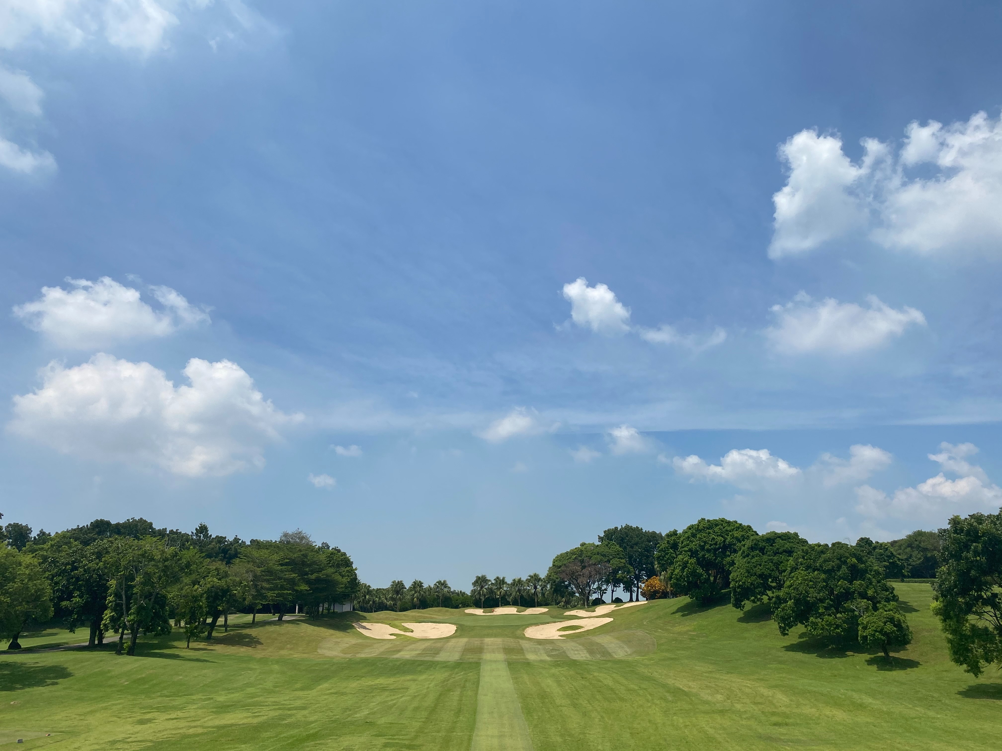 /upload/vvipgolf/image/goods/main/30000142/vvipgolf_cm9900_30000828.jpg