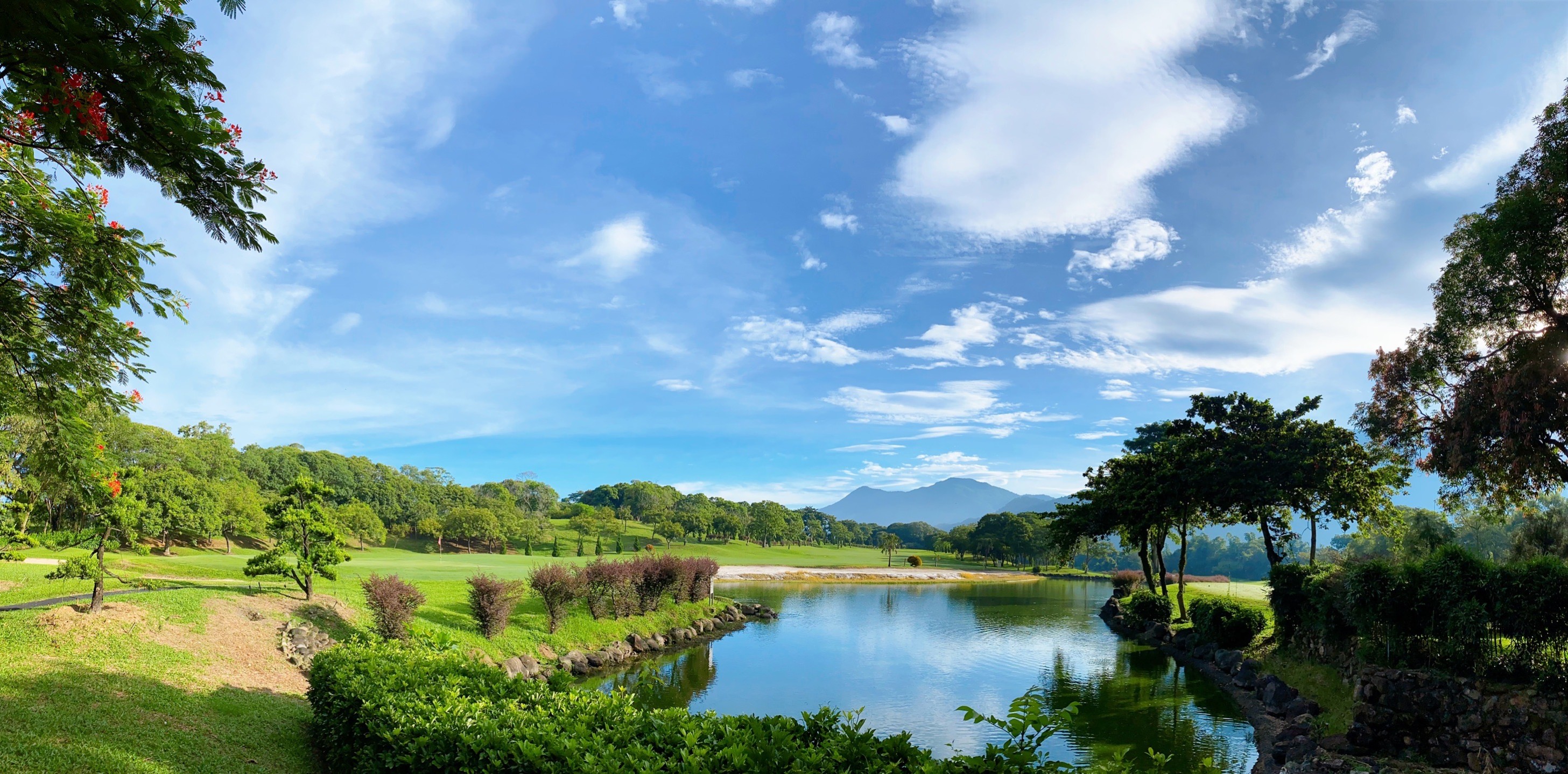 /upload/vvipgolf/image/goods/main/30000142/vvipgolf_cm9900_30000829.jpg