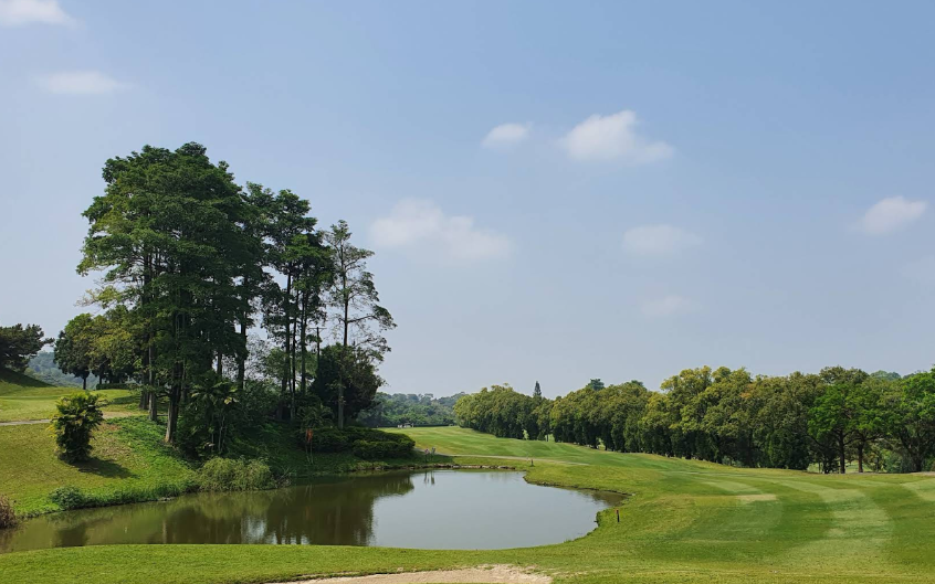 /upload/vvipgolf/image/goods/main/30000154/vvipgolf_cm9900_30000820.png