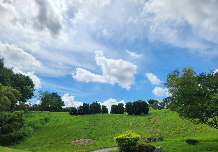 /upload/vvipgolf/image/goods/main/30000154/vvipgolf_cm9900_30000821.png
