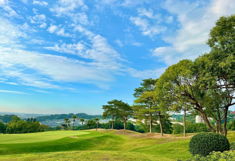 /upload/vvipgolf/image/goods/main/30000154/vvipgolf_cm9900_30000822.png