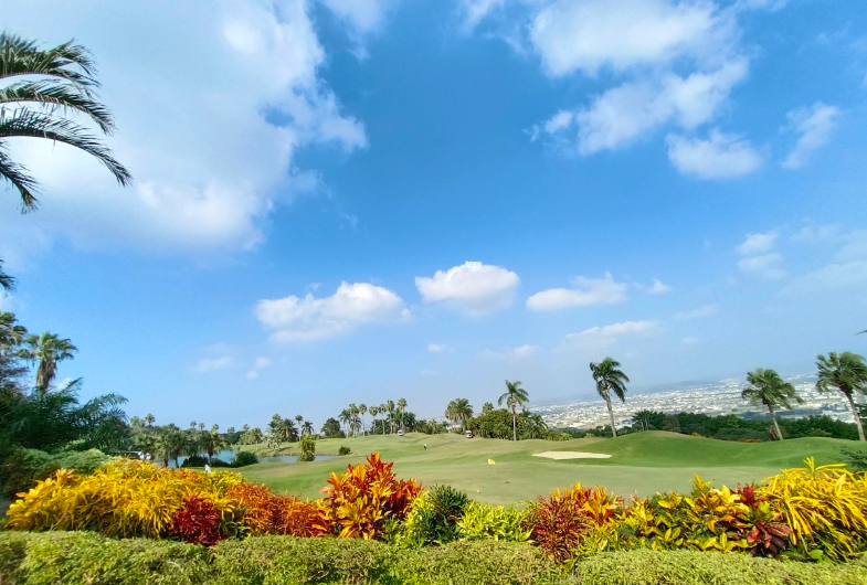 /upload/vvipgolf/image/goods/main/30000154/vvipgolf_cm9900_30000823.png