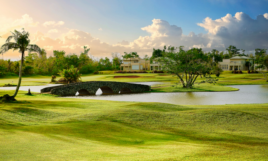 /upload/vvipgolf/image/goods/main/30000155/vvipgolf_cm9900_30000953.jpg
