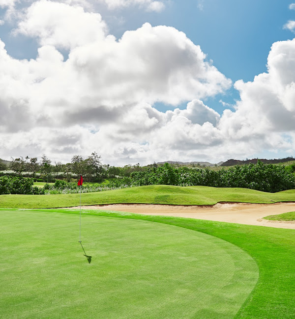/upload/vvipgolf/image/goods/main/30000158/vvipgolf_cm9900_30000933.jpg