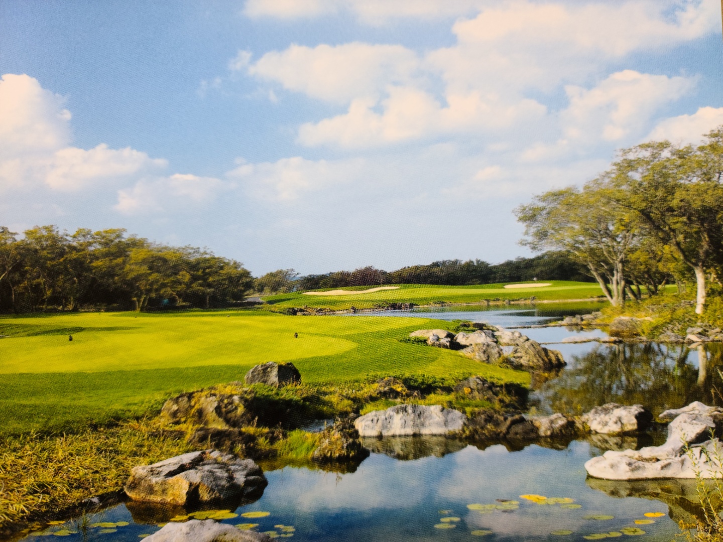 /upload/vvipgolf/image/goods/main/30000166/vvipgolf_cm9900_30001108.jpg