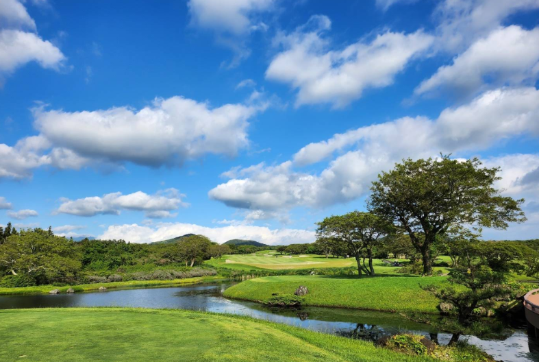 /upload/vvipgolf/image/goods/main/30000166/vvipgolf_cm9900_30001109.png