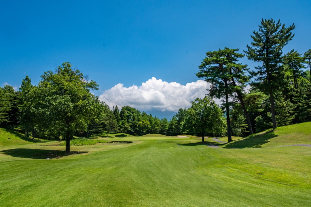 /upload/vvipgolf/image/goods/main/30000170/vvipgolf_cm9900_30000164.jpg