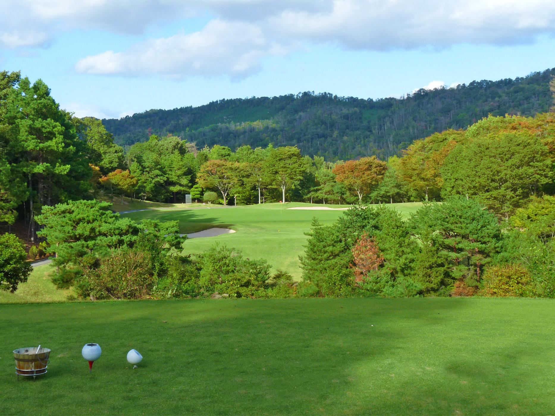 /upload/vvipgolf/image/goods/main/30000173/vvipgolf_cm9900_30000147.jpg