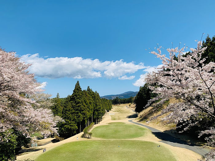 /upload/vvipgolf/image/goods/main/30000178/vvipgolf_cm9900_30000185.jpg