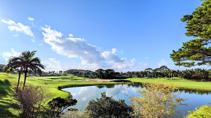 /upload/vvipgolf/image/goods/main/30000185/vvipgolf_cm9900_30000224.jpg