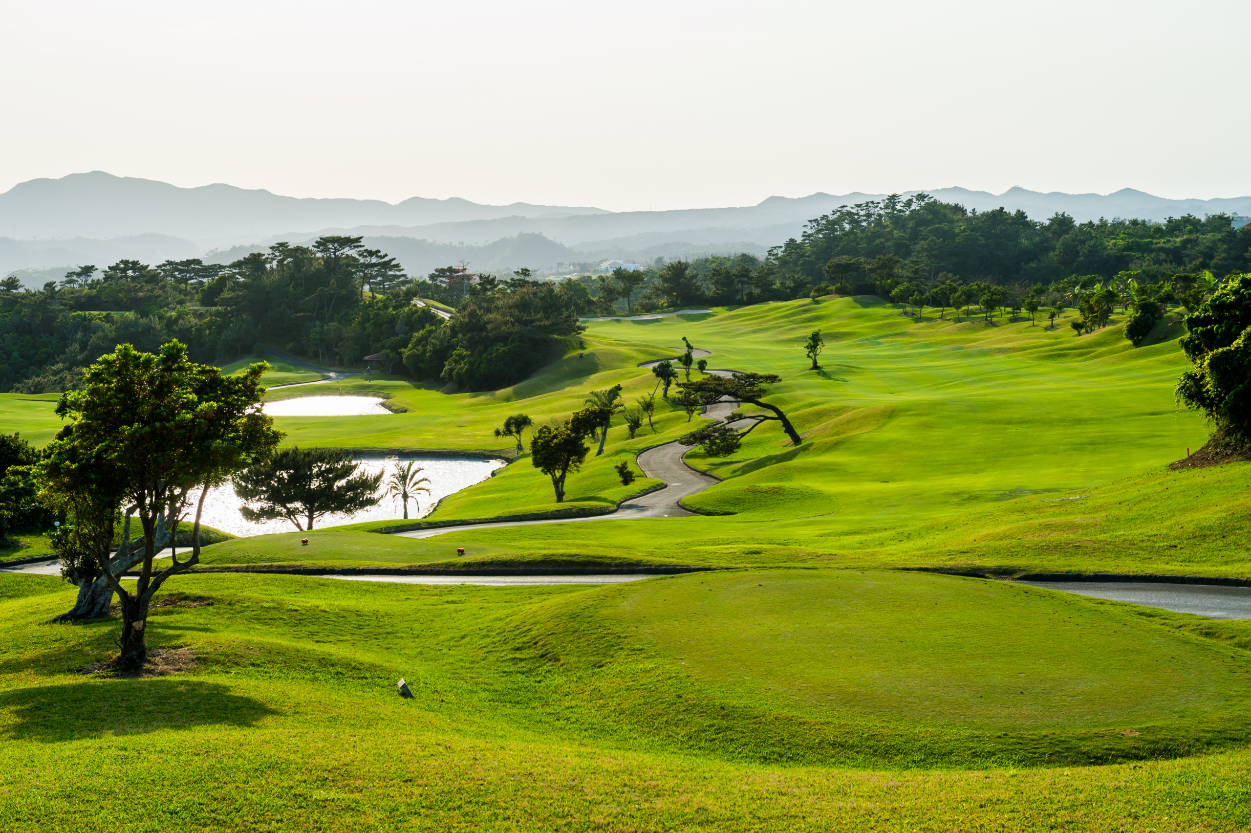 /upload/vvipgolf/image/goods/main/30000185/vvipgolf_cm9900_30000226.jpg