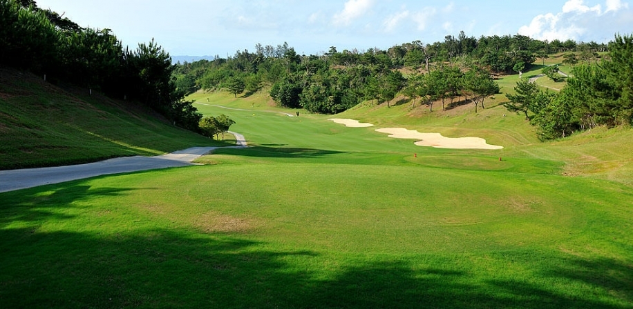 /upload/vvipgolf/image/goods/main/30000186/vvipgolf_cm9900_30000230.jpg