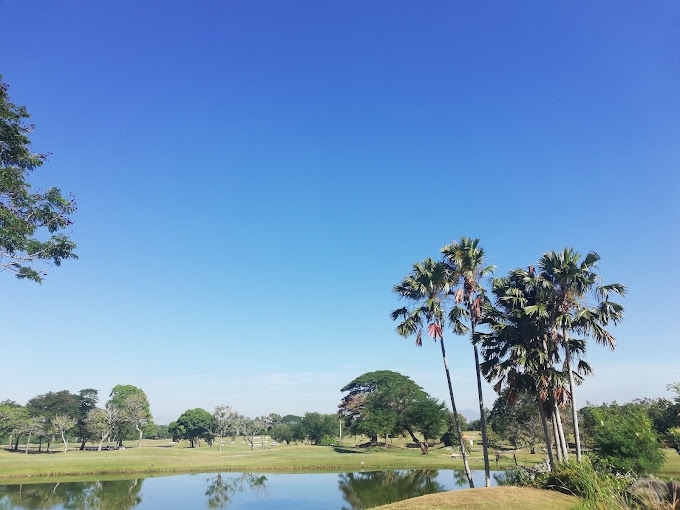 /upload/vvipgolf/image/goods/main/30000197/vvipgolf_cm9900_30000239.jpg