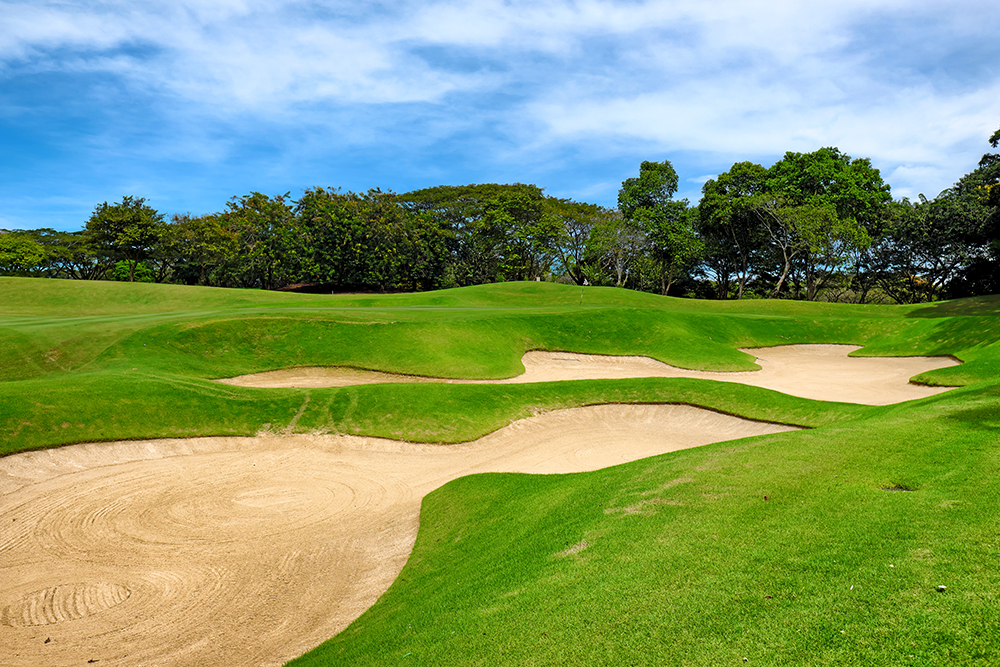/upload/vvipgolf/image/goods/main/30000211/vvipgolf_cm9900_30000914.jpg