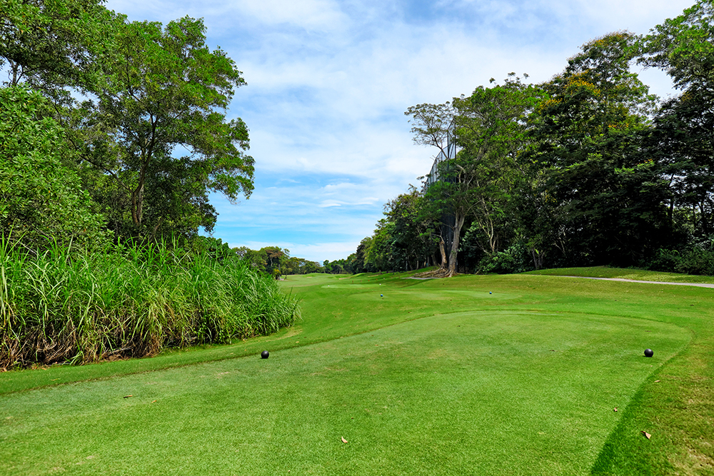 /upload/vvipgolf/image/goods/main/30000212/vvipgolf_cm9900_30000908.jpg