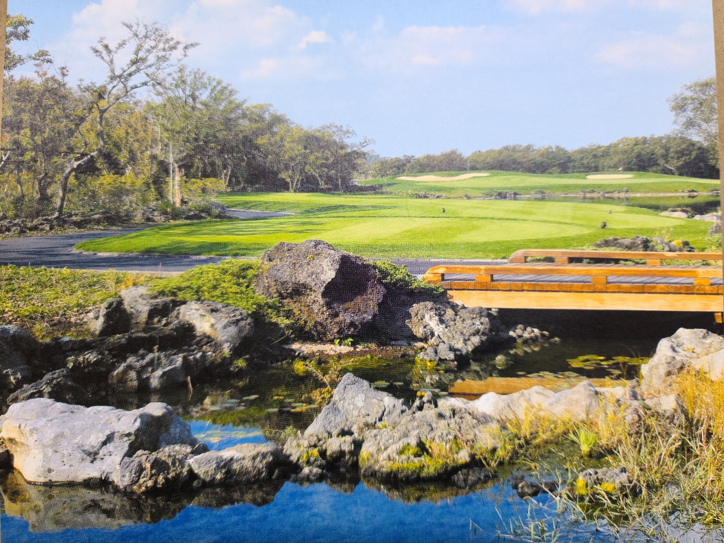 /upload/vvipgolf/image/goods/main/30000233/vvipgolf_cm9900_30001077.jpg